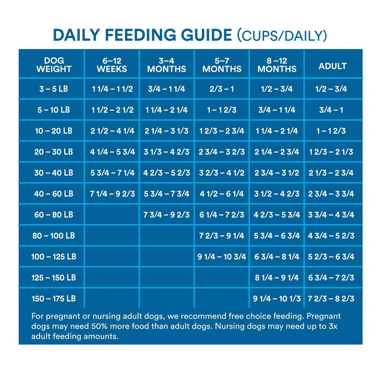 WholeHearted Grain Free All Salmon and Pea Recipe Dry Dog Food