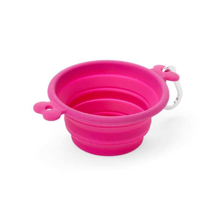 EveryYay Open-Air Eats Collapsible Bowl for Dogs