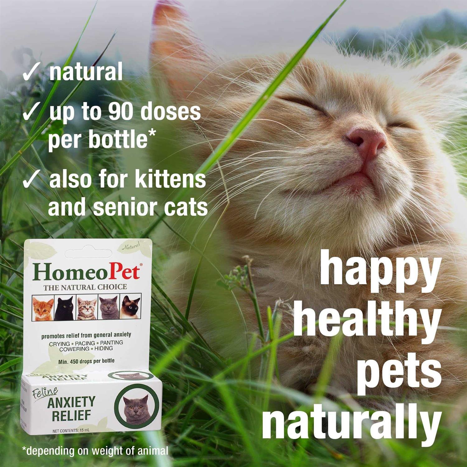 HomeoPet Feline Anxiety Relief