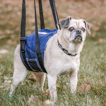 Walkin’ Dog Support Sling