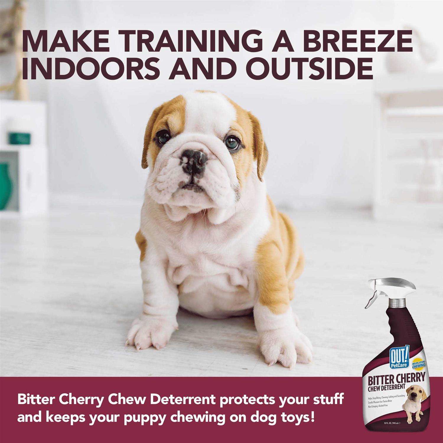 Out! PetCare Bitter Cherry Dog Chew Deterrent, Discourages Licking and Chewing