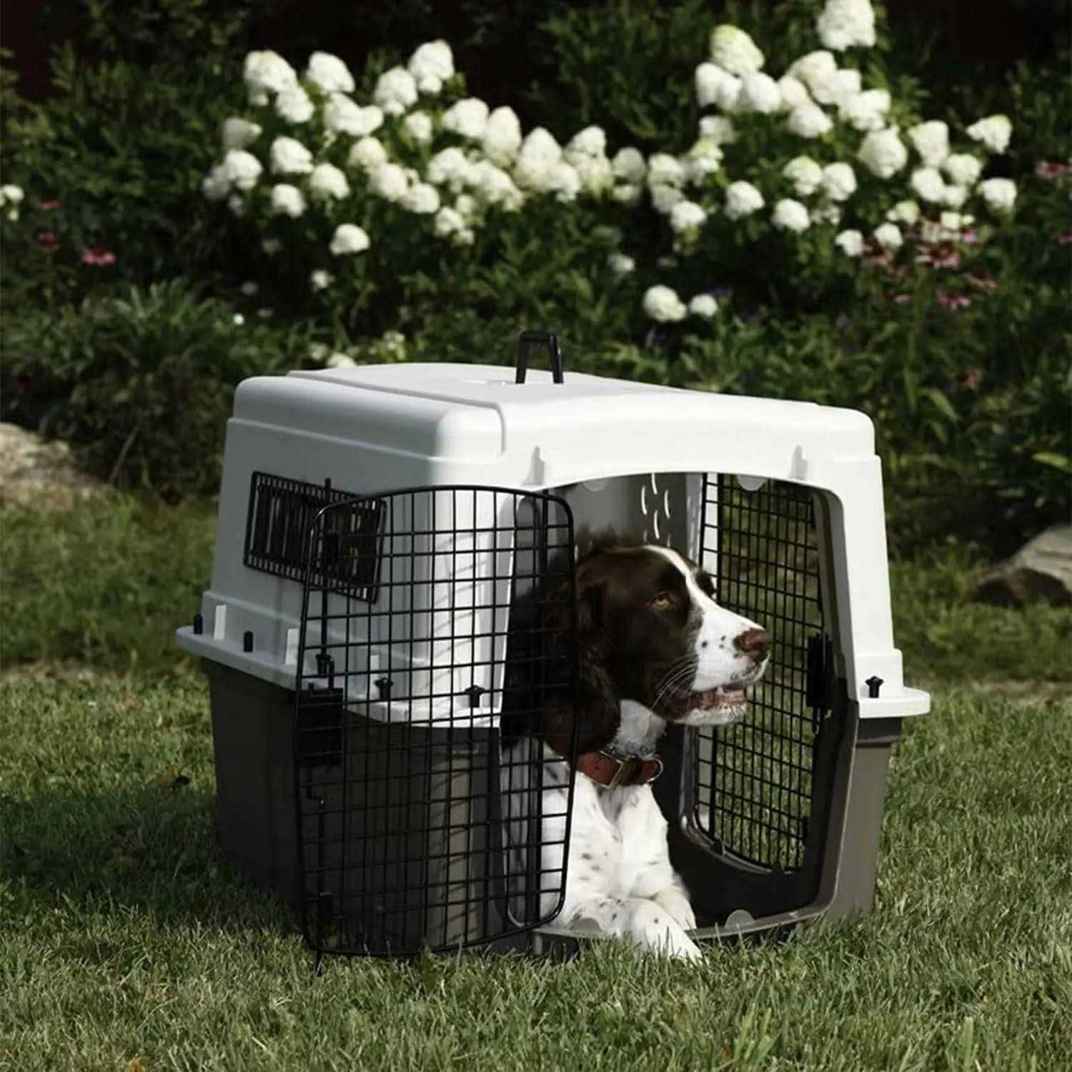 Pet Lodge Double Door Plastic Crate