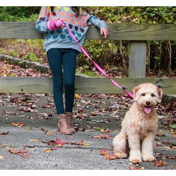 Sweet Paws Wearable Stack Puppy Teether Chew Toy