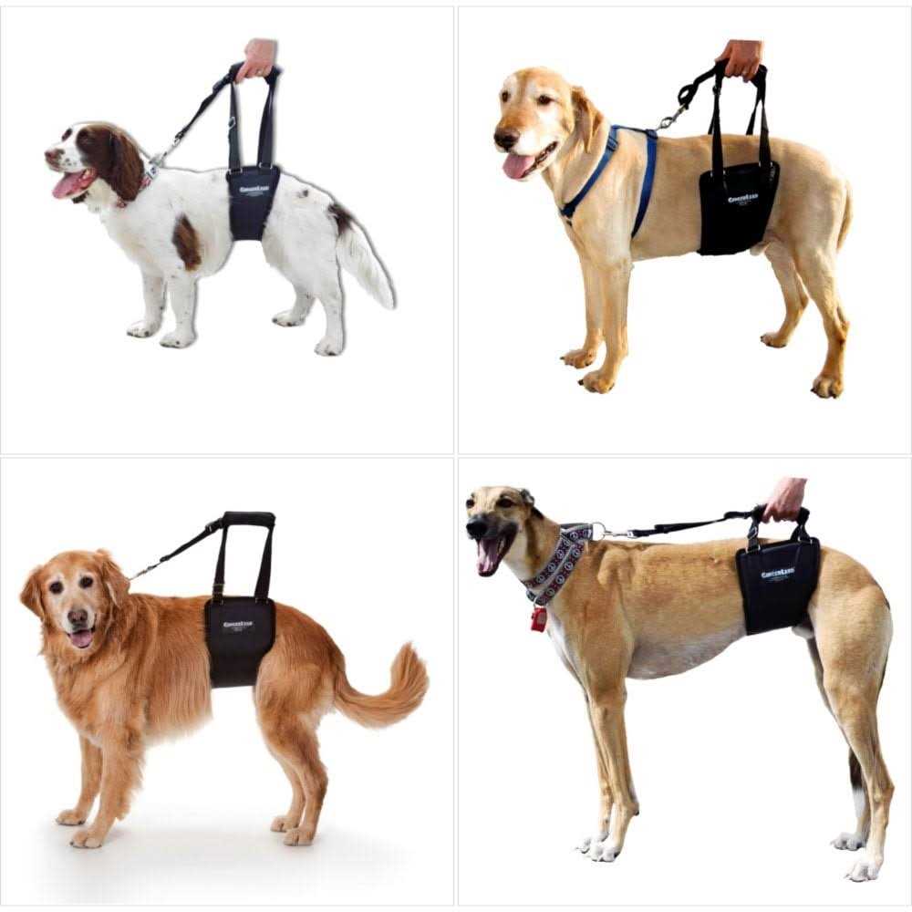 GingerLead Dog Support Rehabilitation Harness