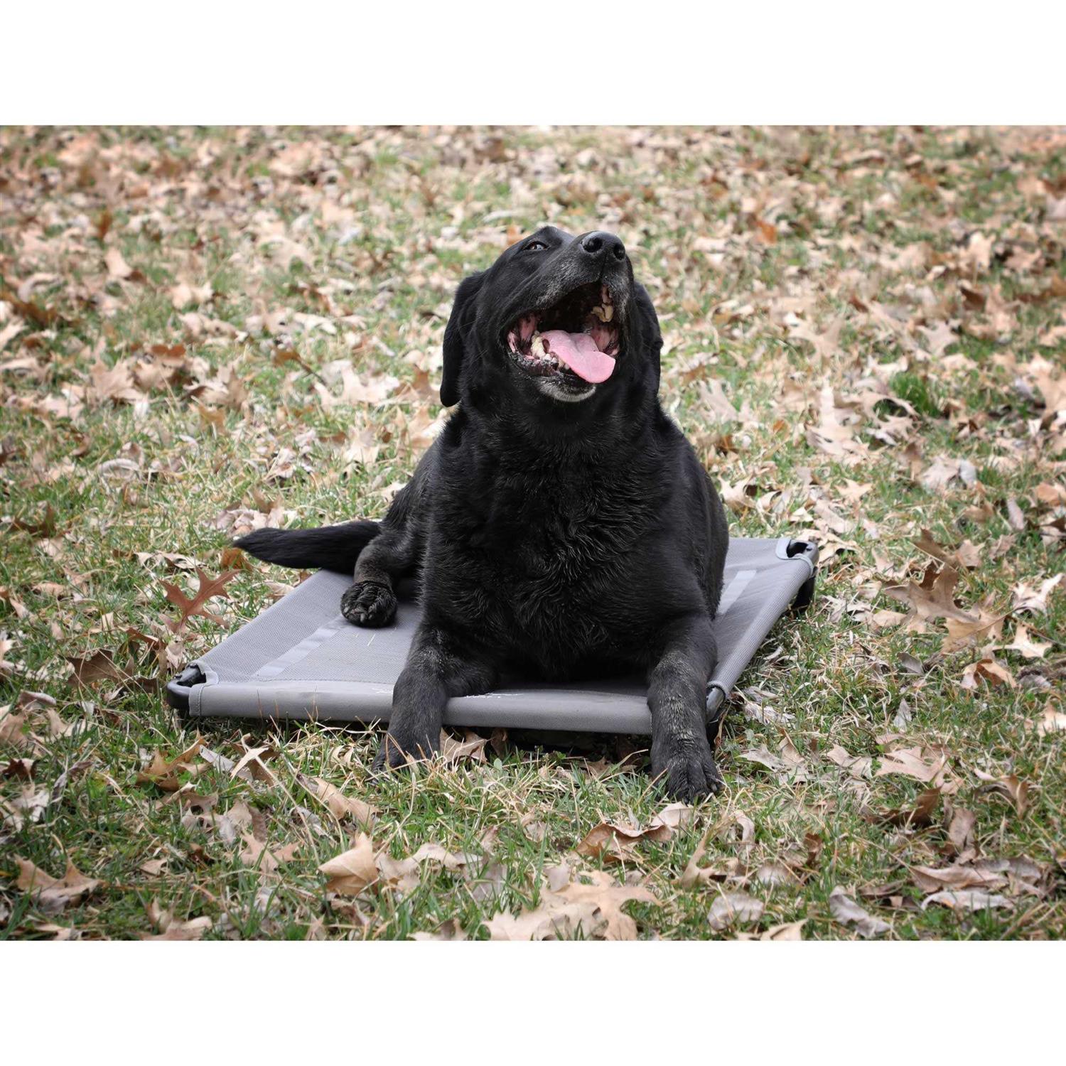 MOmarsh Kennel Cot