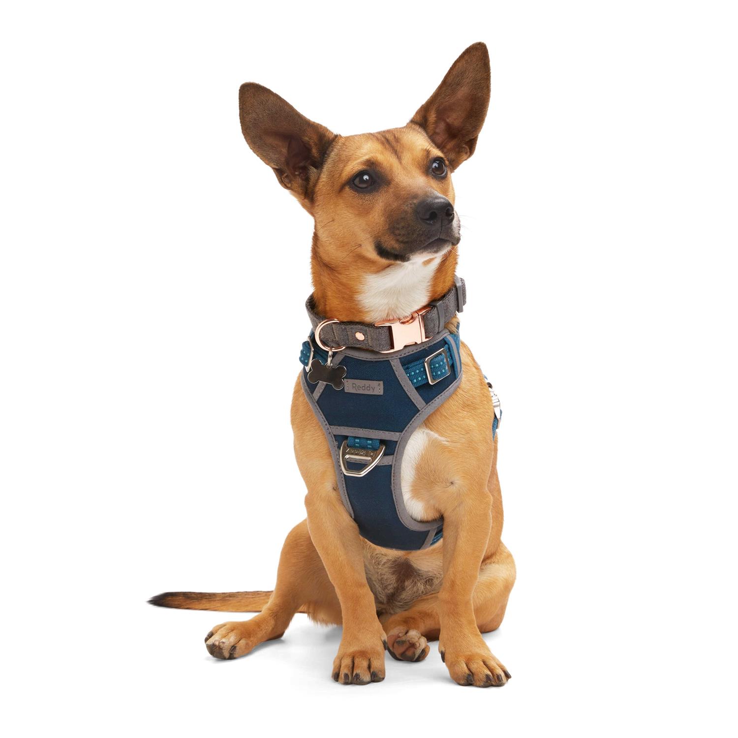 Reddy Navy Dog Harness