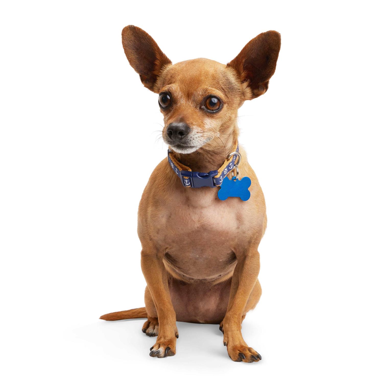 Youly Anchor Dog Collar