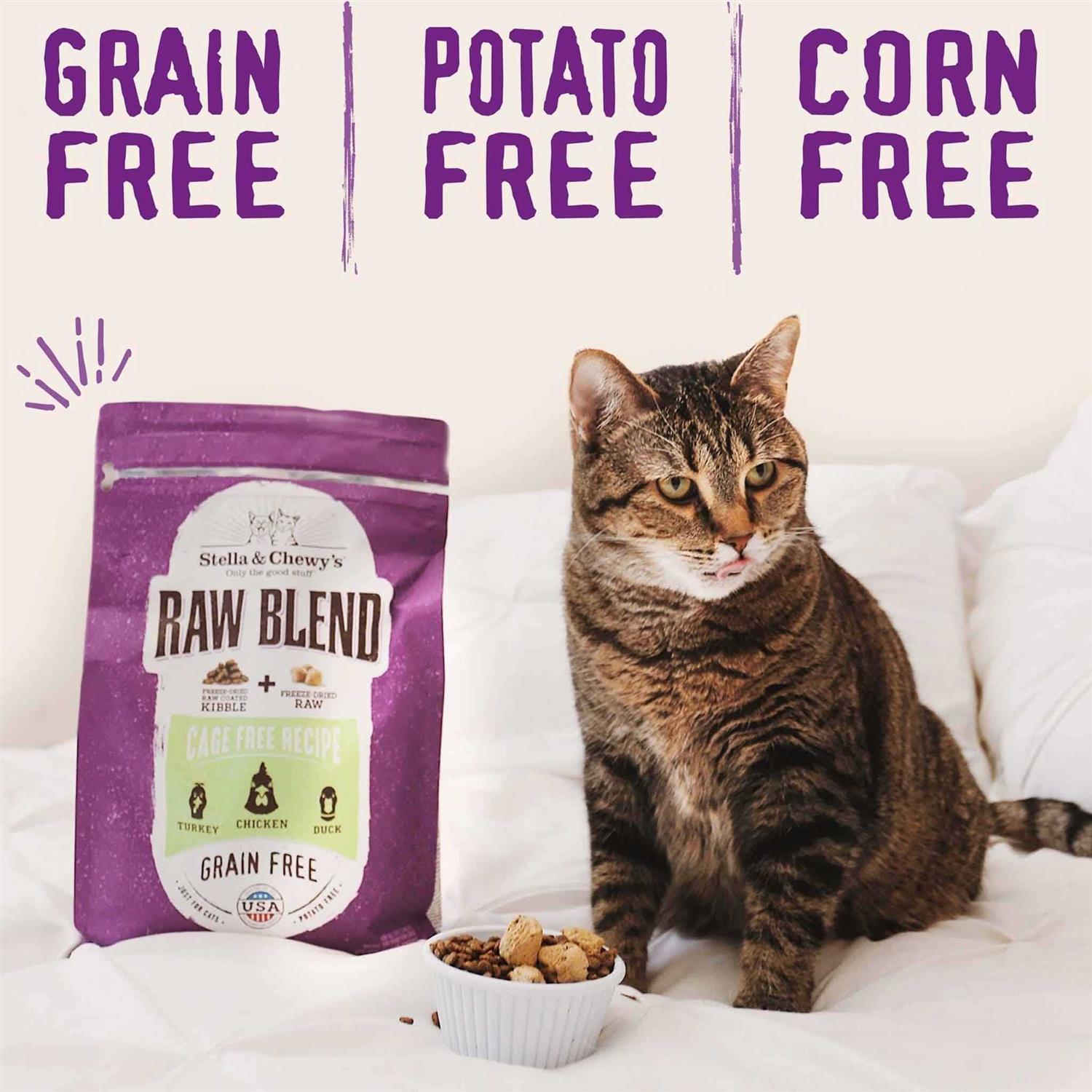 Stella Chewy’s Raw Blend Cage-Free Recipe Dry Cat Food