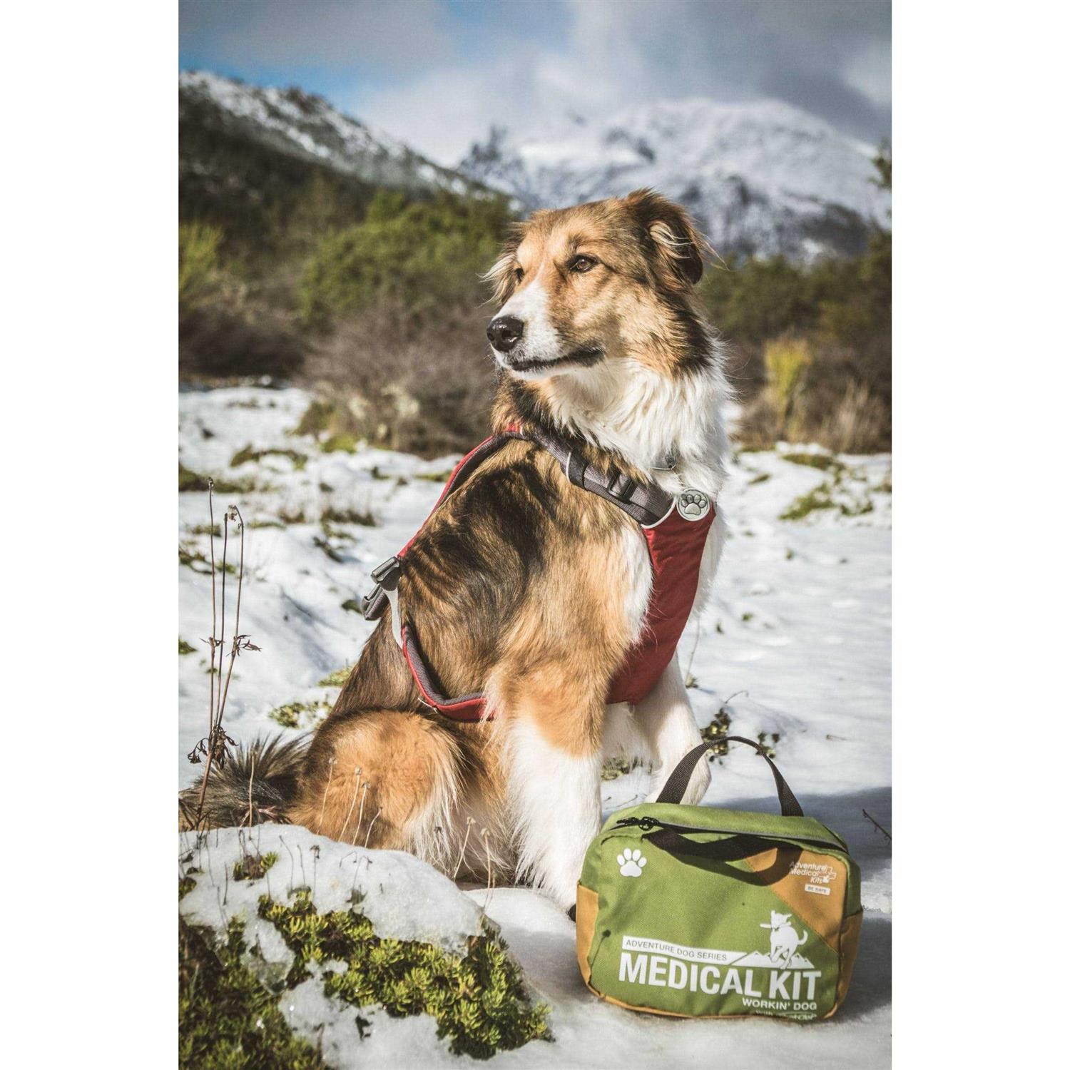 Adventure Medical Dog Series Workin Dog First Aid Kit