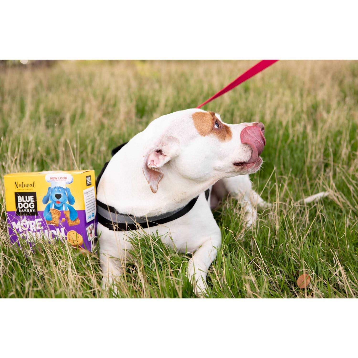 Blue Dog Bakery More Crunch Assorted Flavors Dog Treats