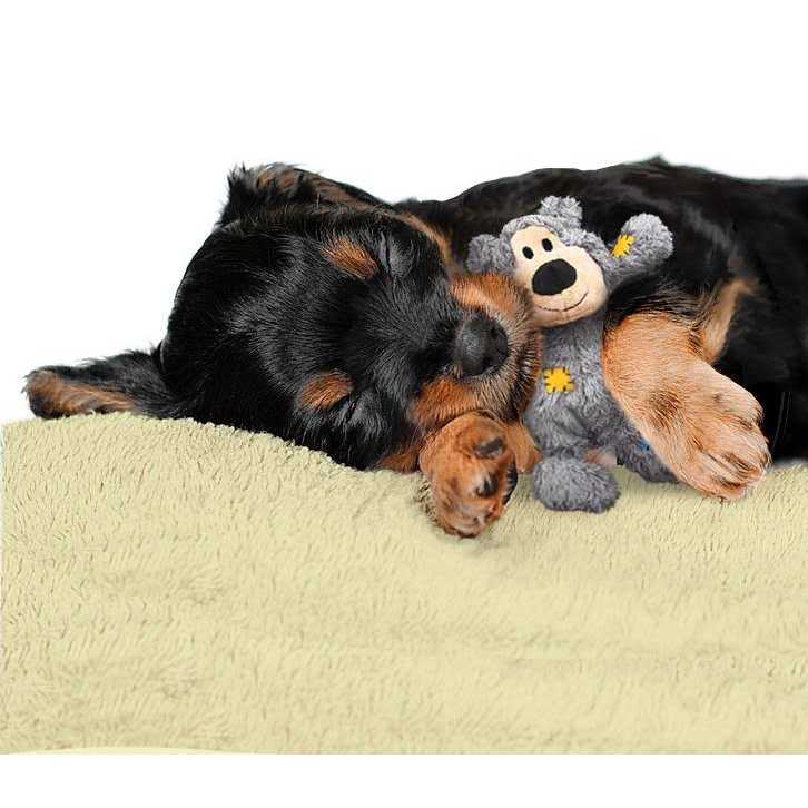 Kong Wild Knots Bear Dog Toy