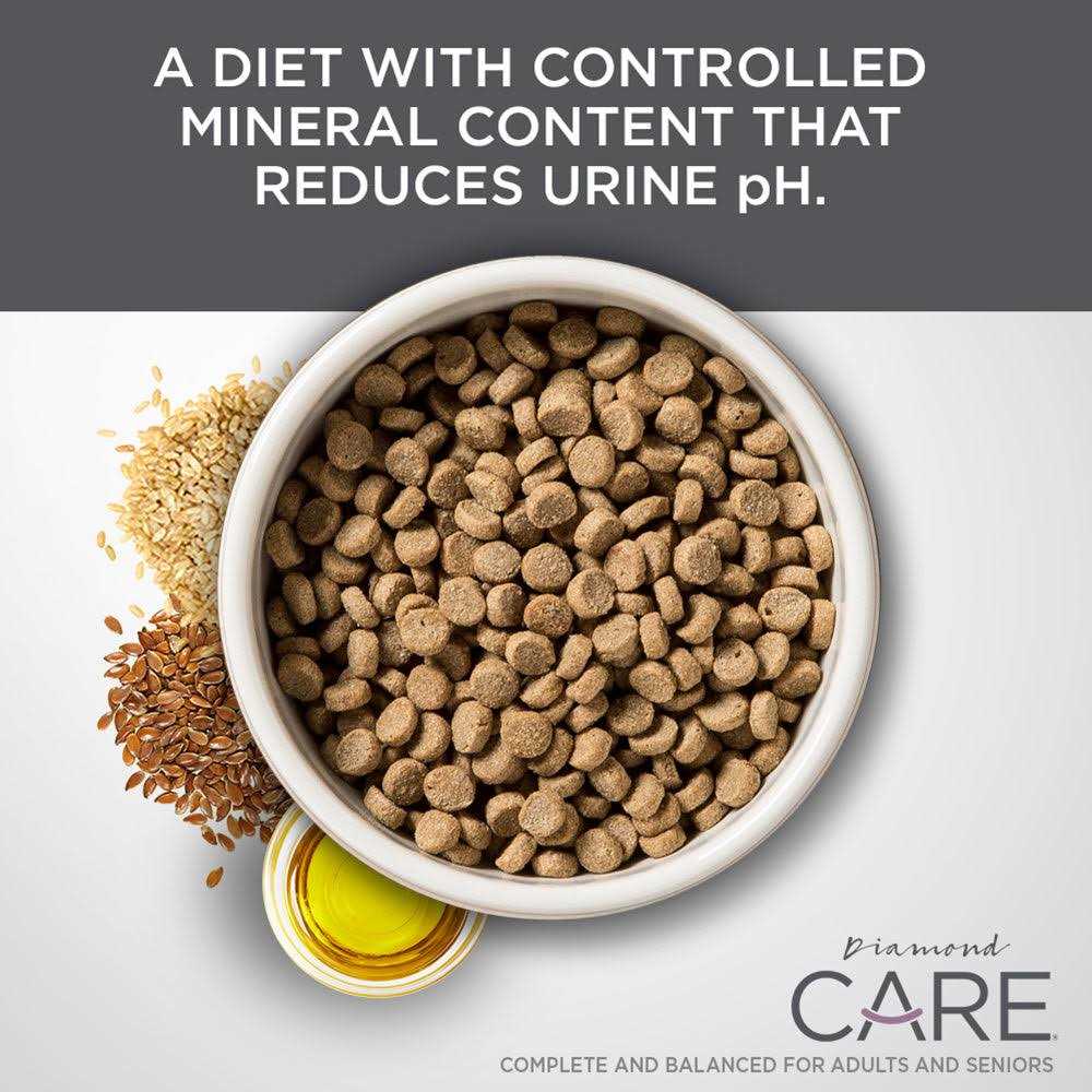 Diamond Care Urinary Support Formula Adult Dry Cat Food