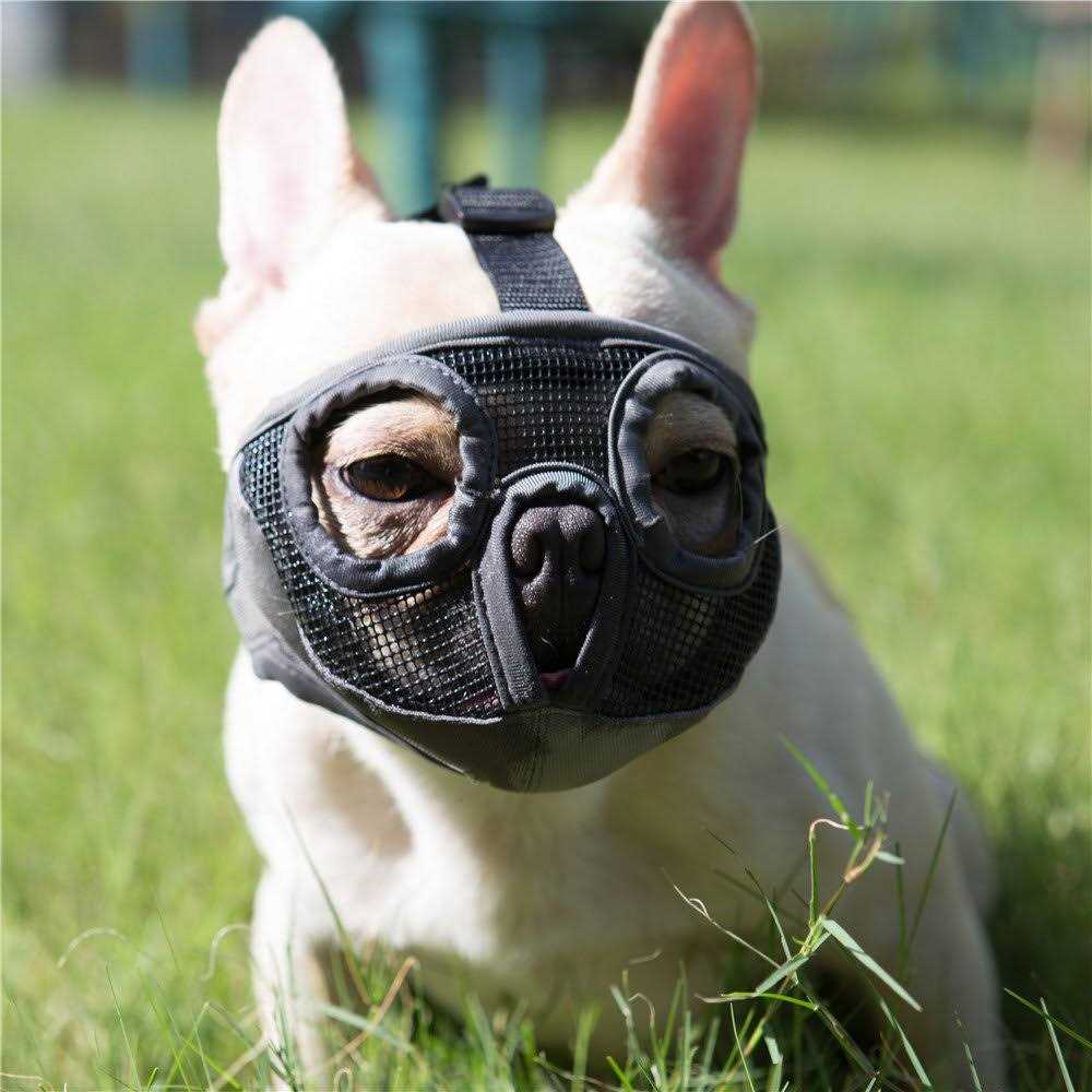 JYHY Short Snout Dog Muzzles Adjustable Breathable Mesh Bulldog Muzzle for Biting Chewing Licking Grooming Dog Mask