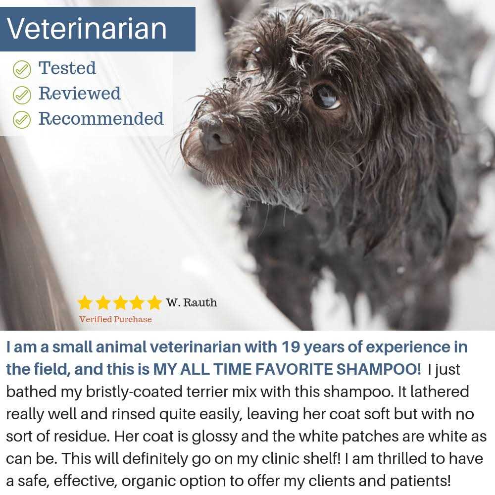 4-Legger Hypoallergenic Dog Shampoo with Organic Lemongrass