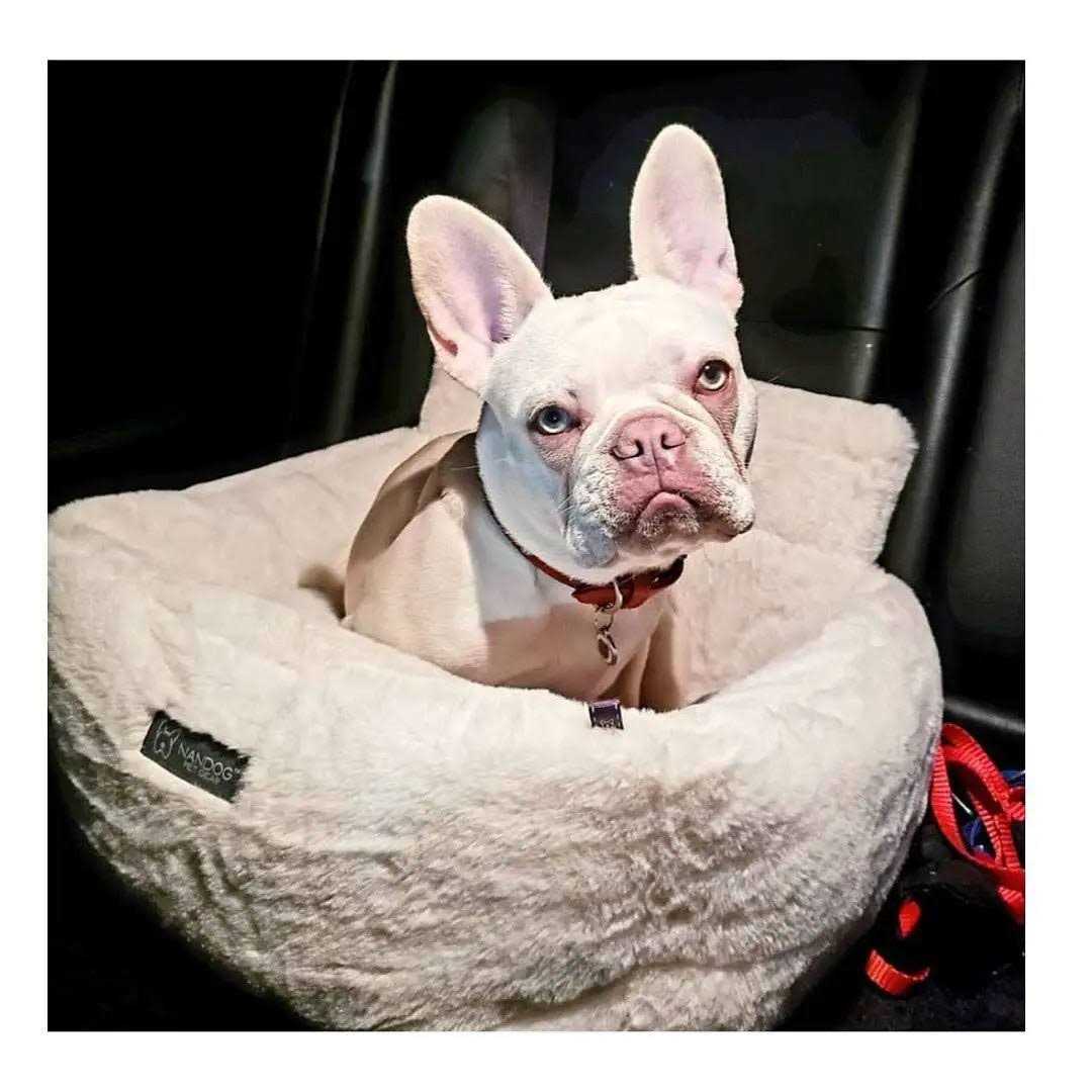 Nandog Pet Gear Ivory Cloud Collection Dog Car Seat Bed