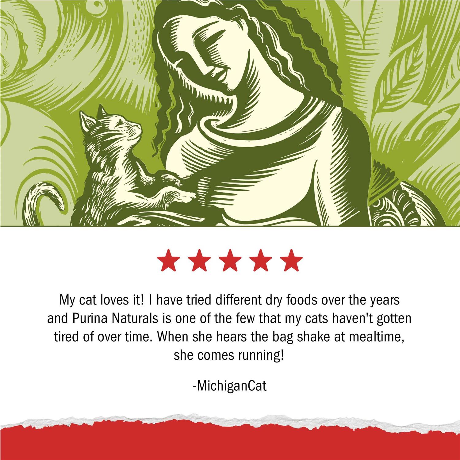 Purina Cat Chow Naturals Original Dry Cat Food