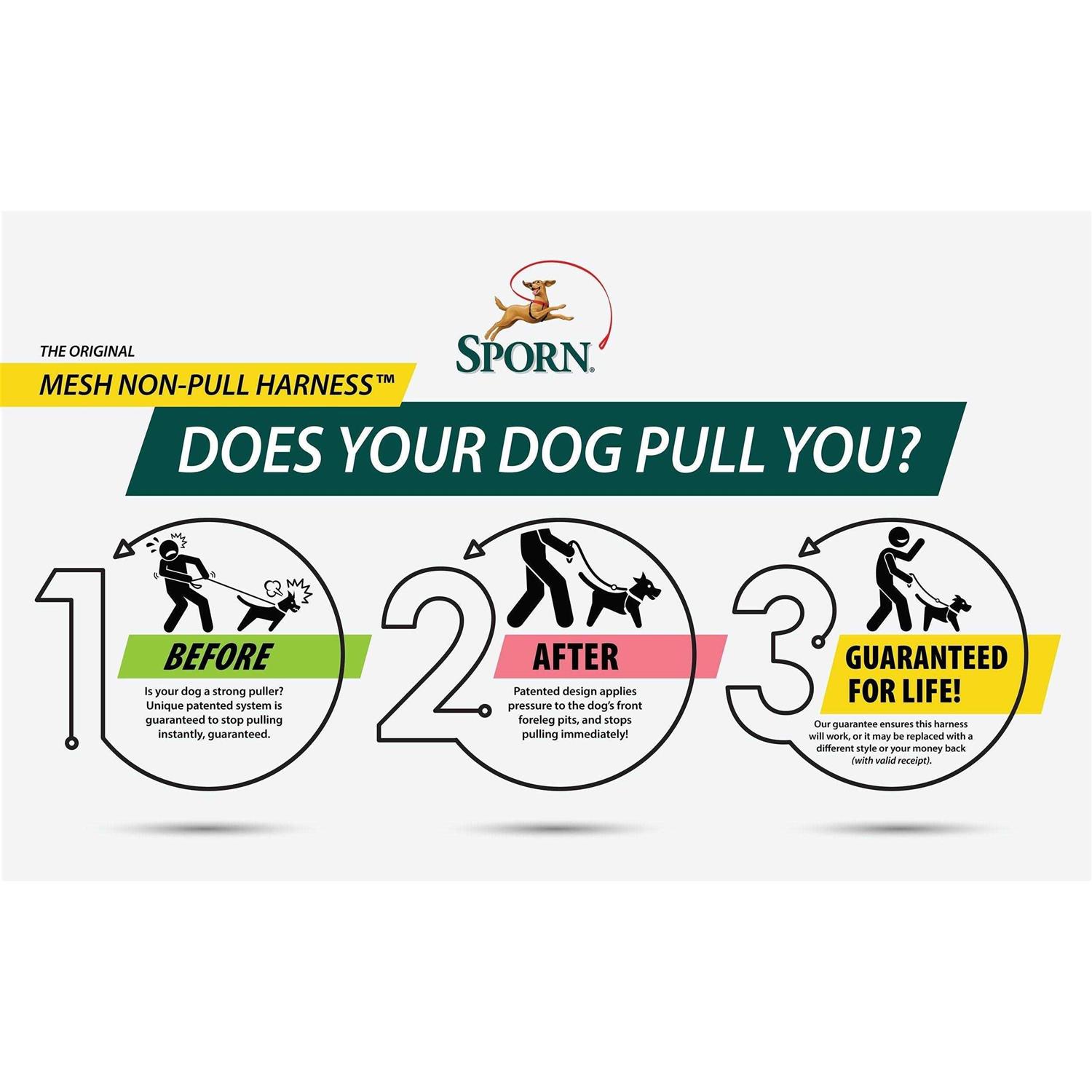 Sporn Mesh Non Pull Dog Harness