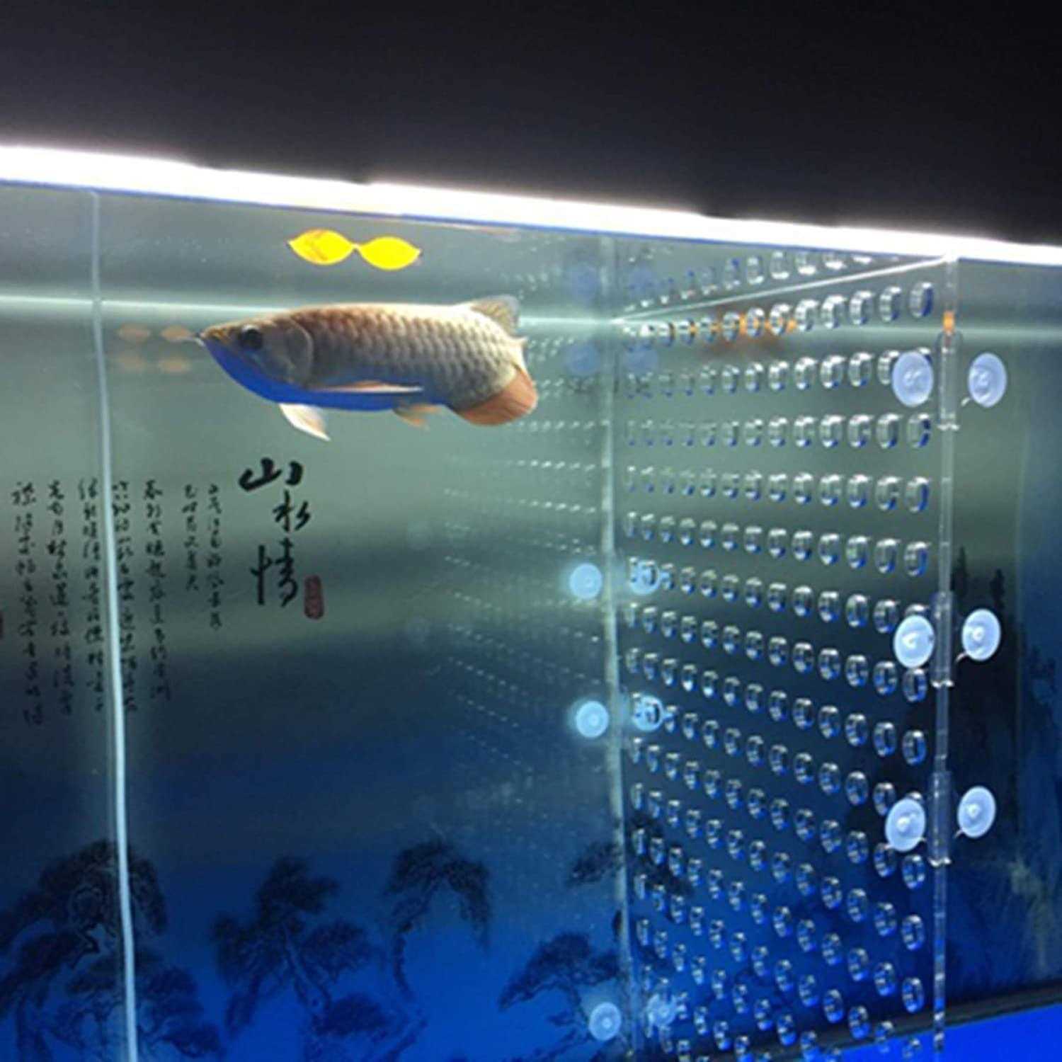 Tank Acrylic Divider Isolation Board with Suction Cups