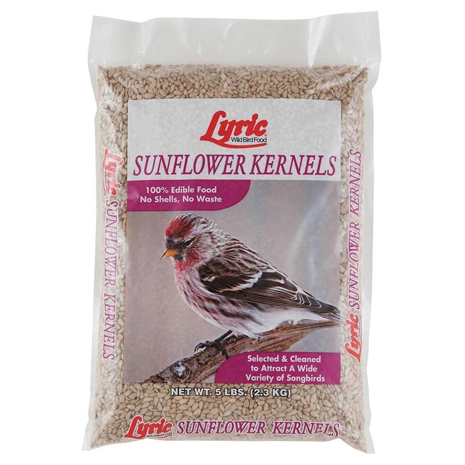 Lyric Sunflower Kernels