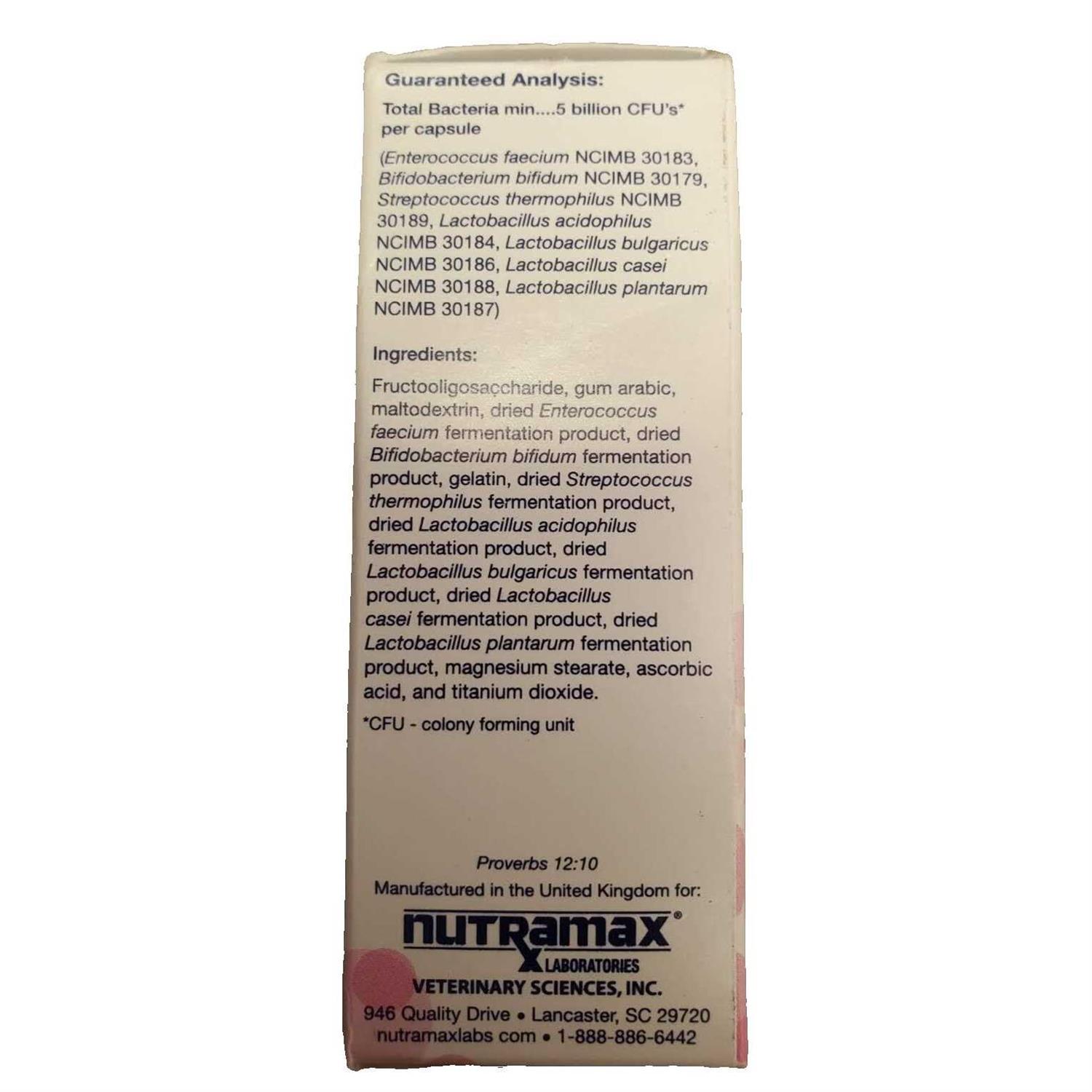 Nutramax Laboratories Cat Proviable Capsules Digestive Supplement