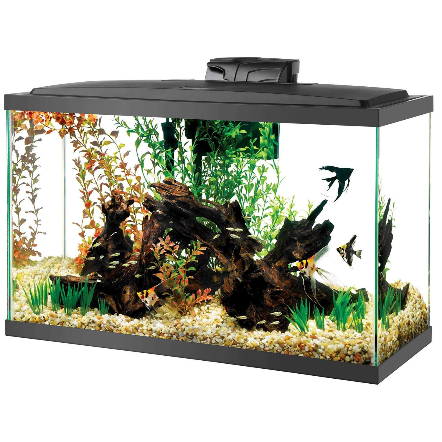 Aqueon Aquarium Kit LED