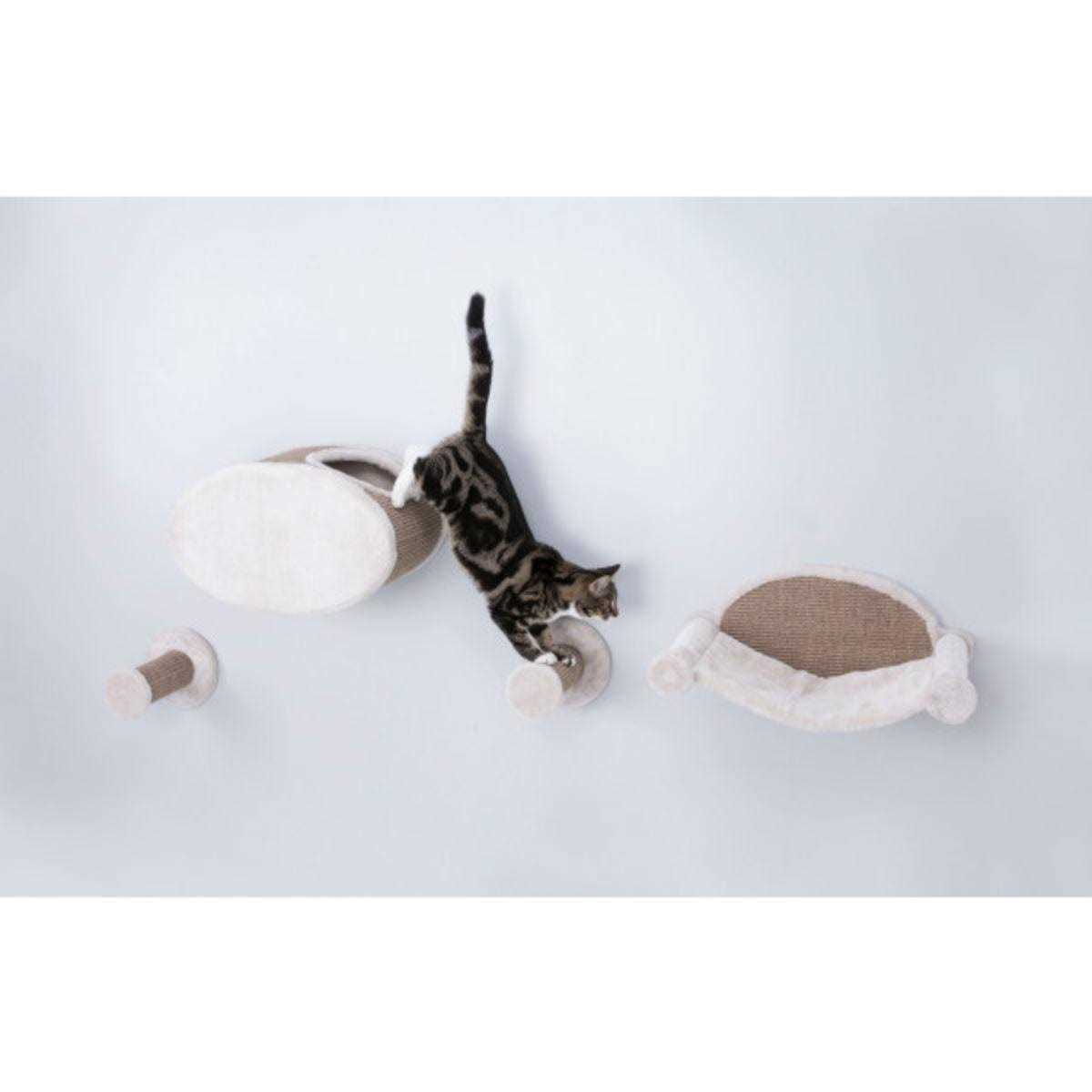 Trixie Wall Mounted Cat Lounge Set Hammock and Condo with Two Steps