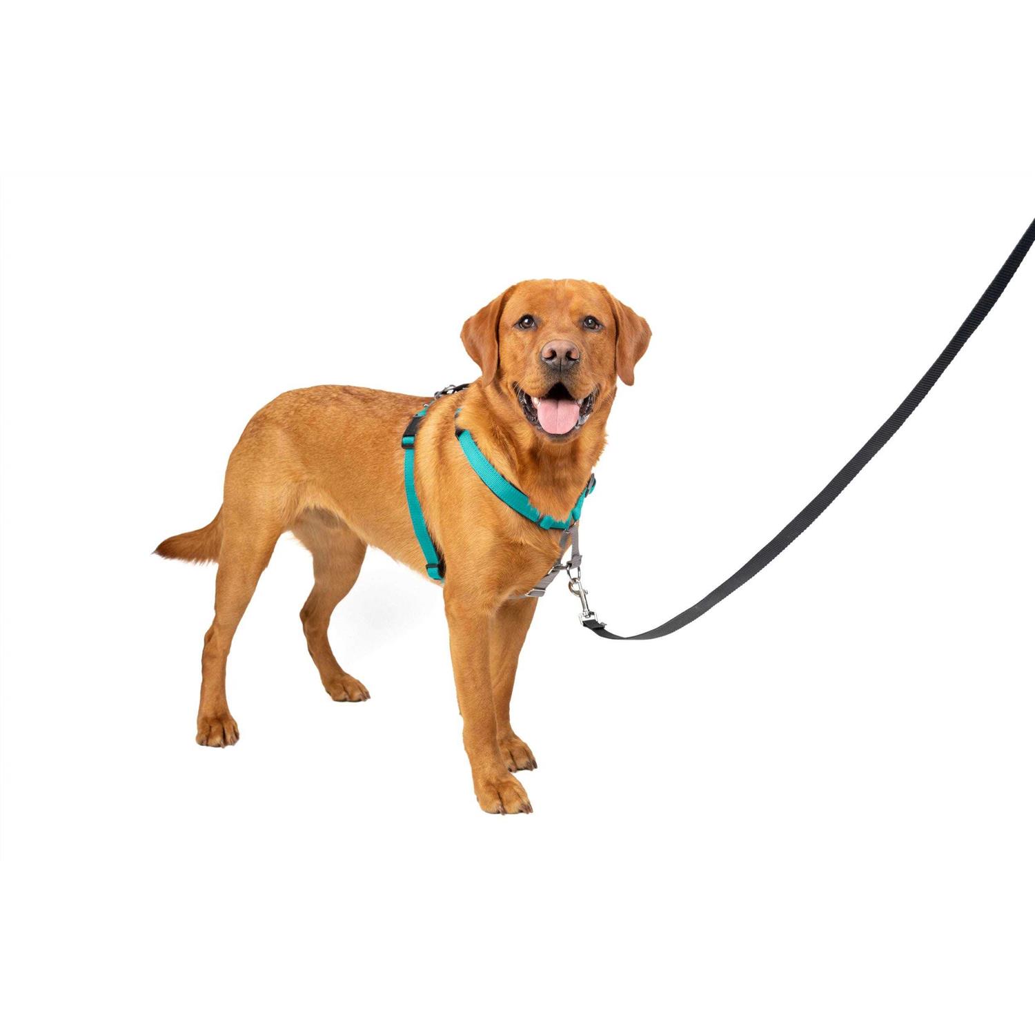 PetSafe 3 in 1 Harness