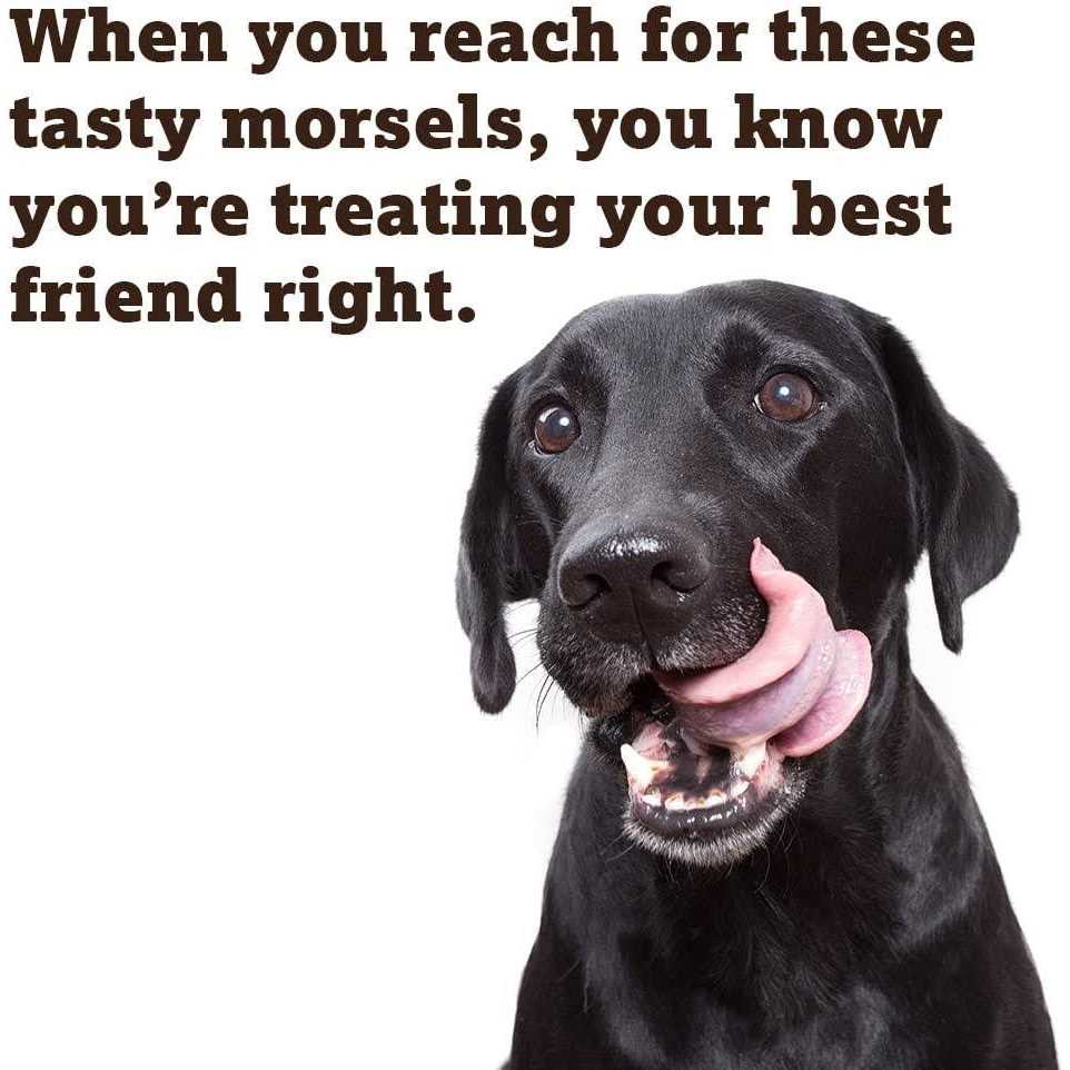 Caru Soft ‘n Tasty Baked Bites Recipe Dog Treats