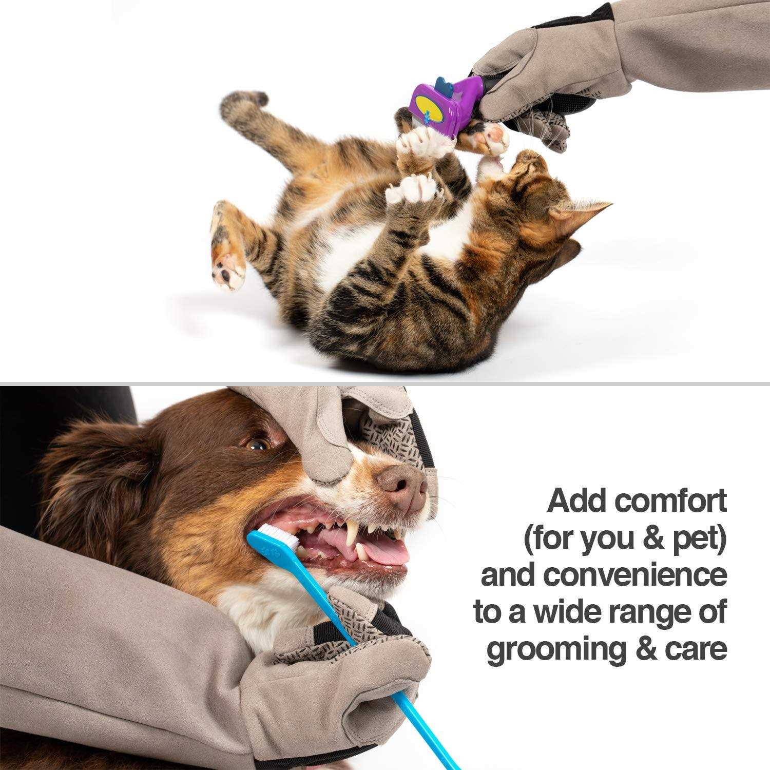 PetFusion Multipurpose Pet Glove for Grooming