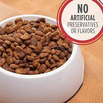 Iams Proactive Health Adult Dry Dog Food Lamb Rice