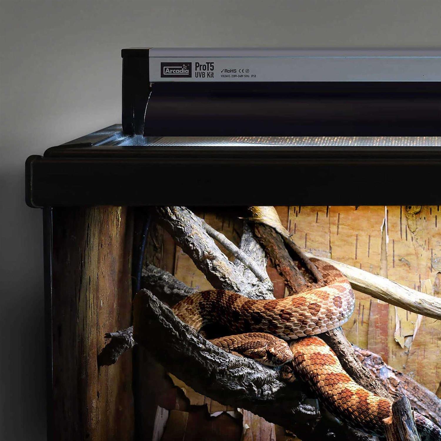 Arcadia Reptile Pro T5 Forest 6% UVB 24 inch Lighting Kit for Reptiles