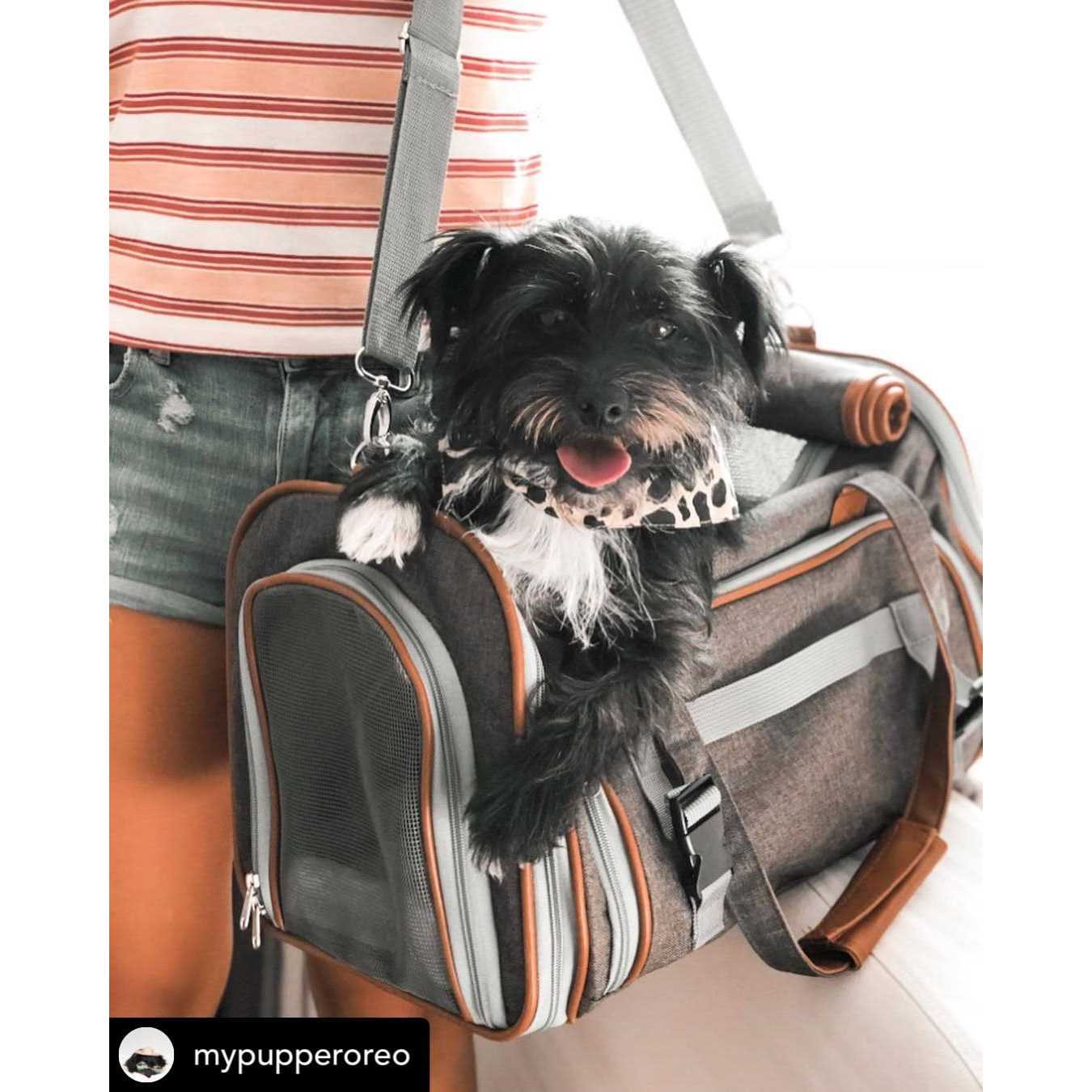 Gold Series Expandable Airline Approved Pet Carrier Mr. Peanut&s