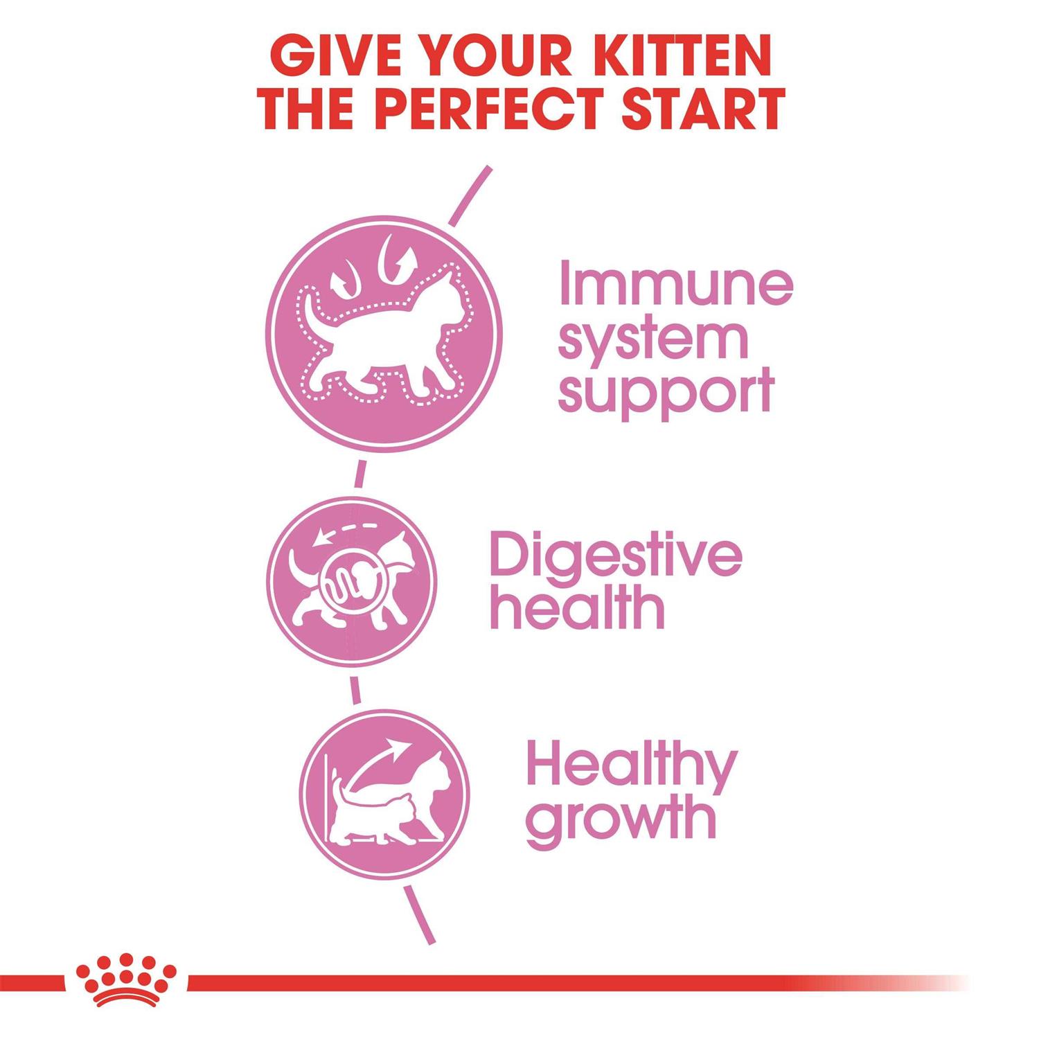 Royal Canin Kitten Feline Health Nutrition Kitten Dry Food
