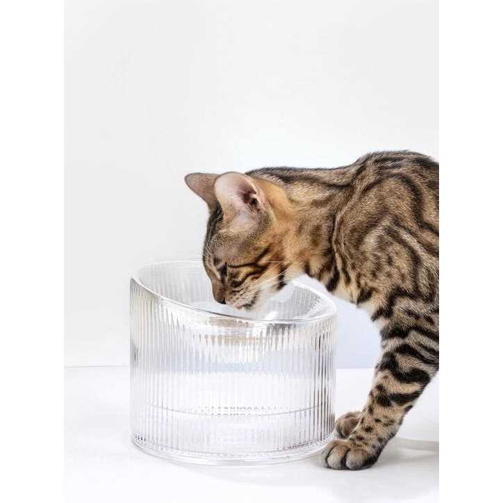 Fooddict Handmade Glass Cat Bowl