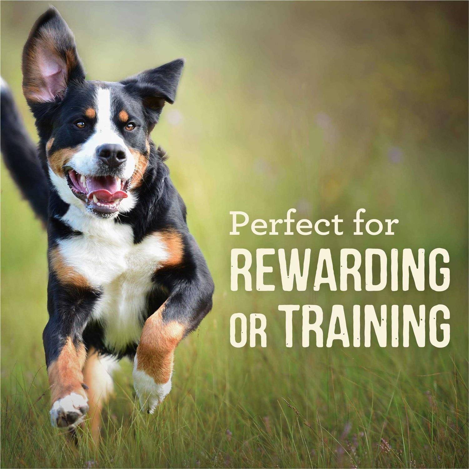 Merrick Power Bites Chicken Dog Treats