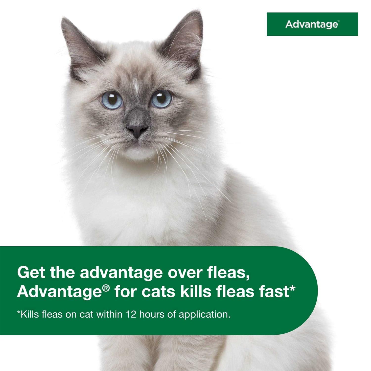 Advantage Topical Flea Prevention for Small Cats