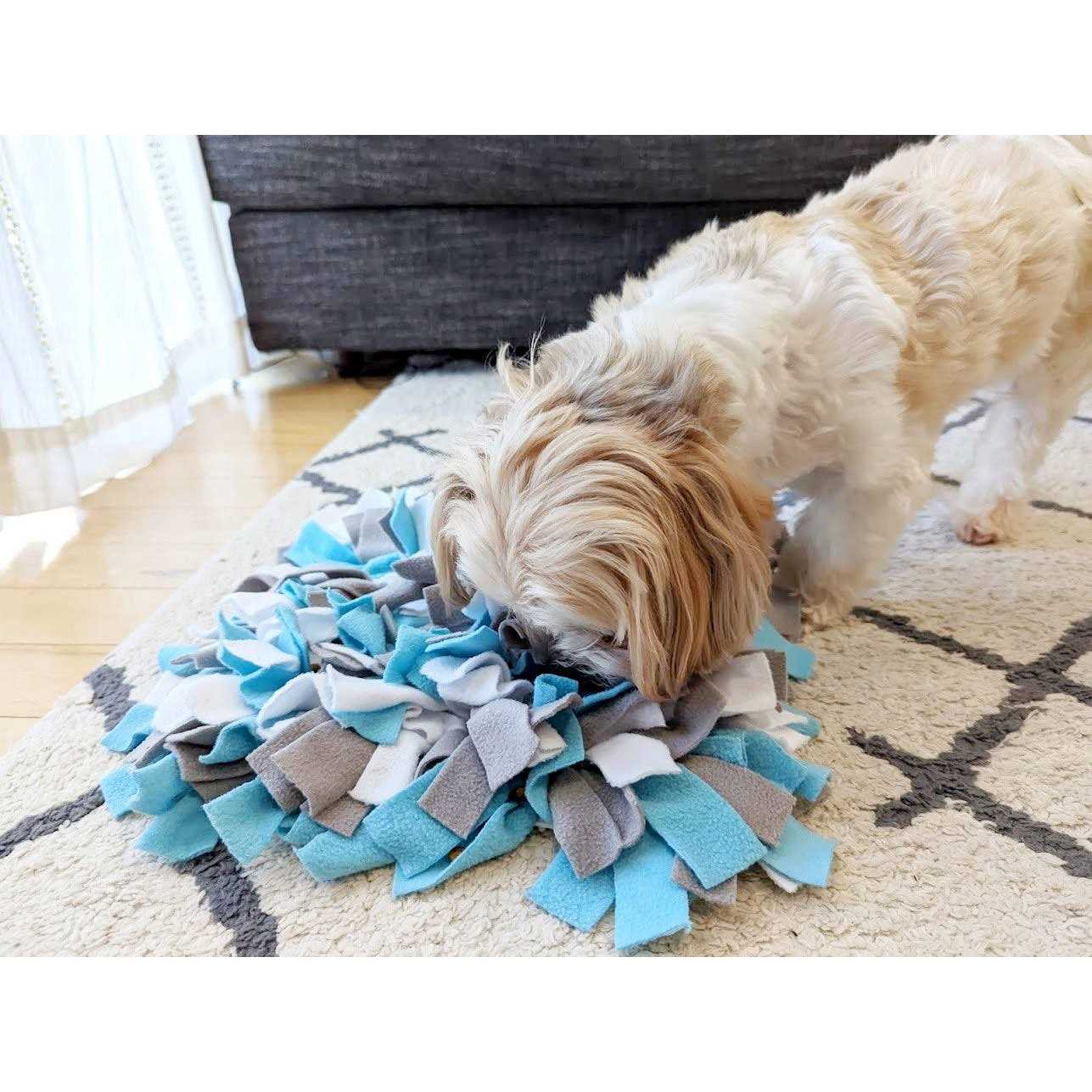 fouFIT Hide ‘n Seek Snuffle Mat Dog Toys