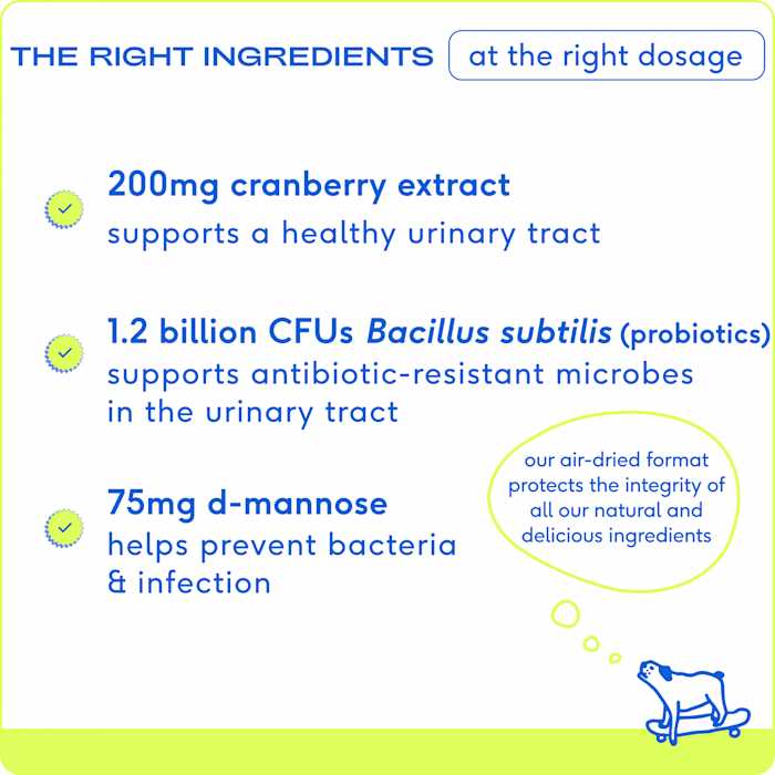 Native Pet Air Dried Dog Chews Bladder