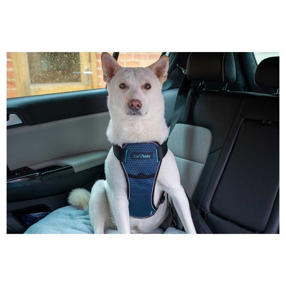 Carsafe Crash Tested Dog Harness