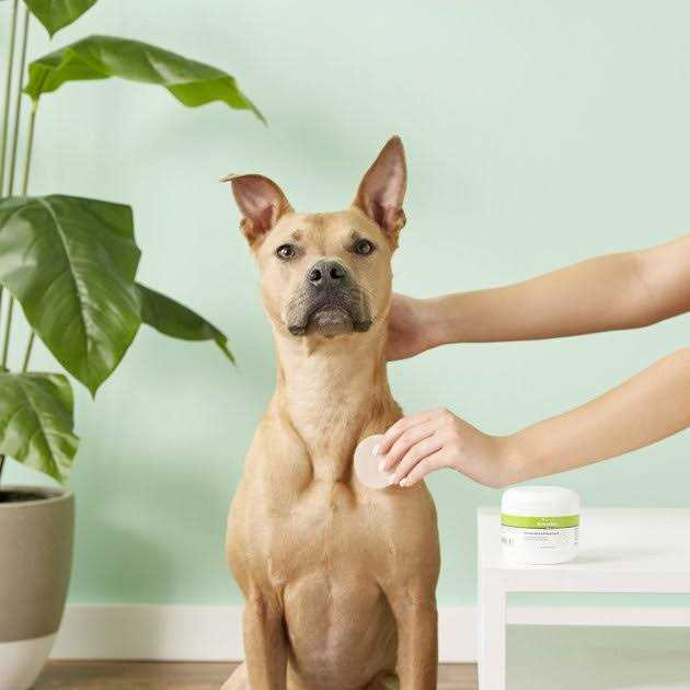 VetOne KetoHex Antiseptic Pet Wipes