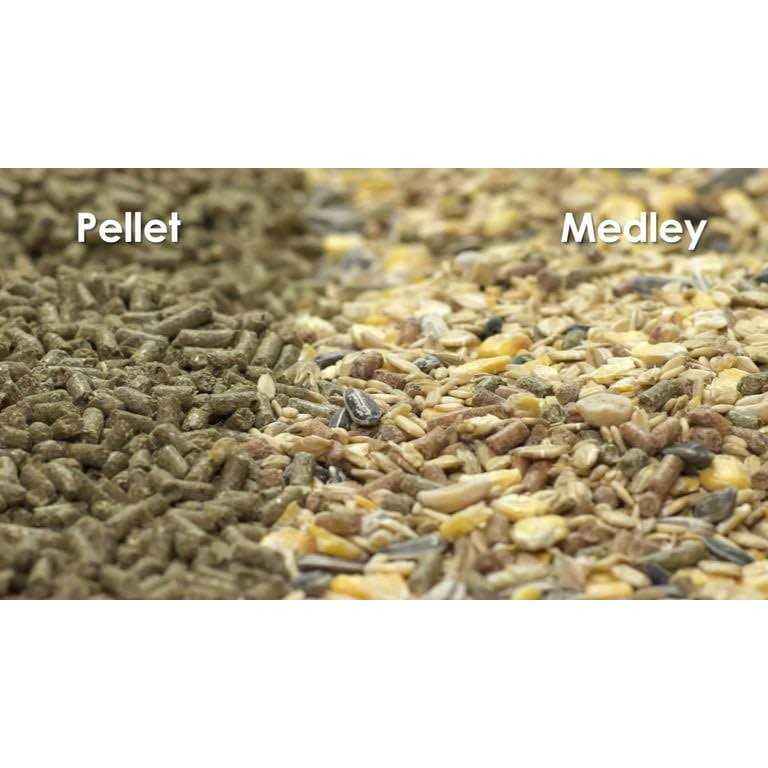 Kaytee Forti-Diet Pro Health Hamster Gerbil Food