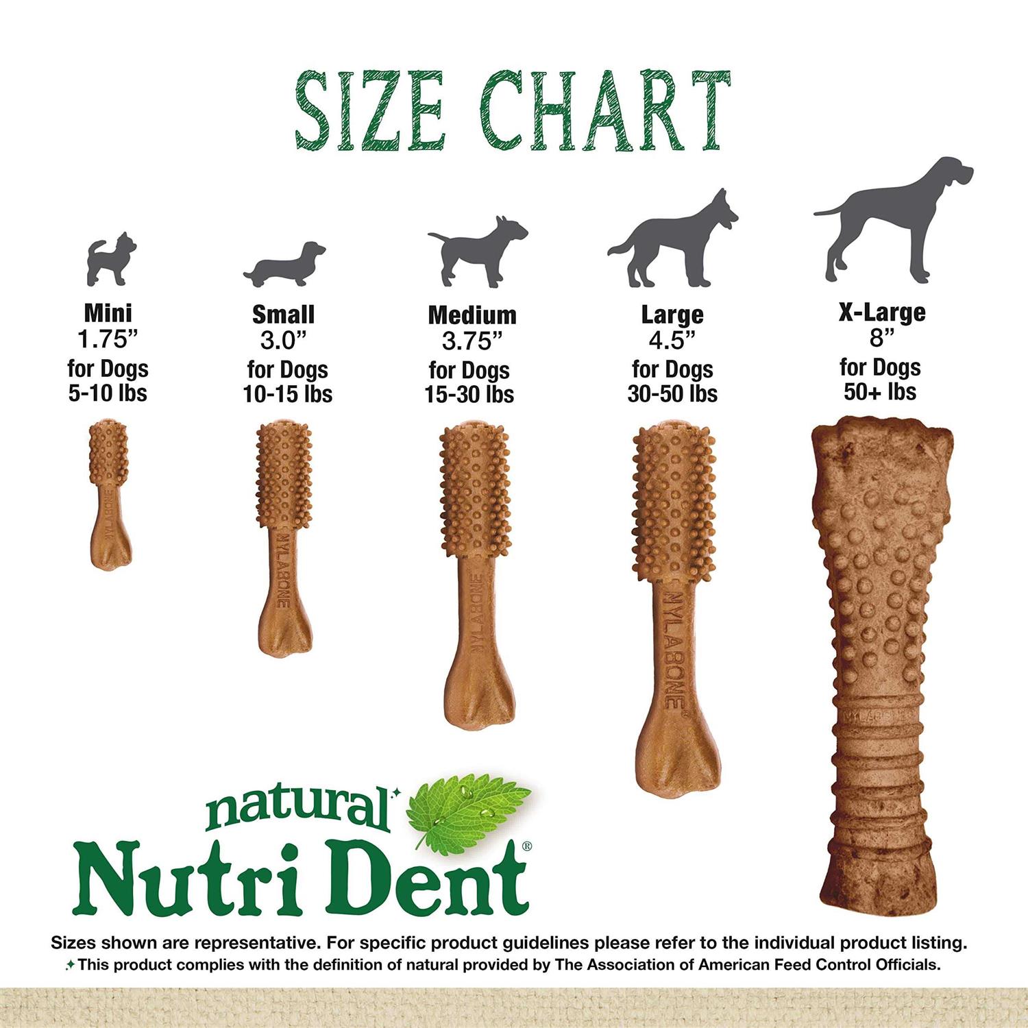 Nylabone Nutri Dent Filet Mignon Flavored Dog Dental Chews