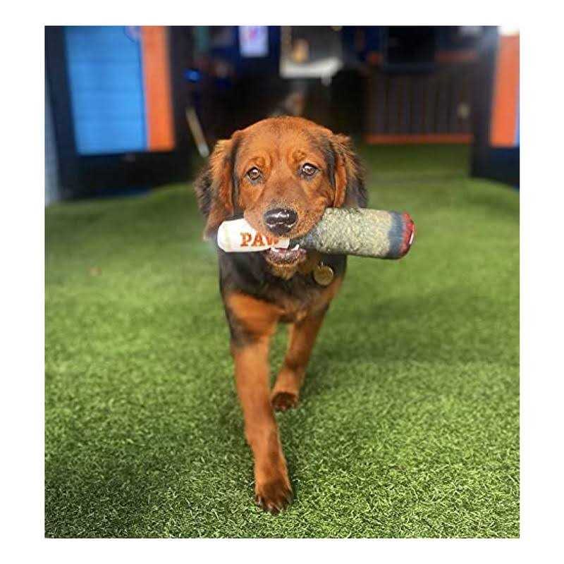 Nickelodeon Spongebob SquarePants for Pets Spongebob, Patrick, and Sandy Figure Plush Dog Toy