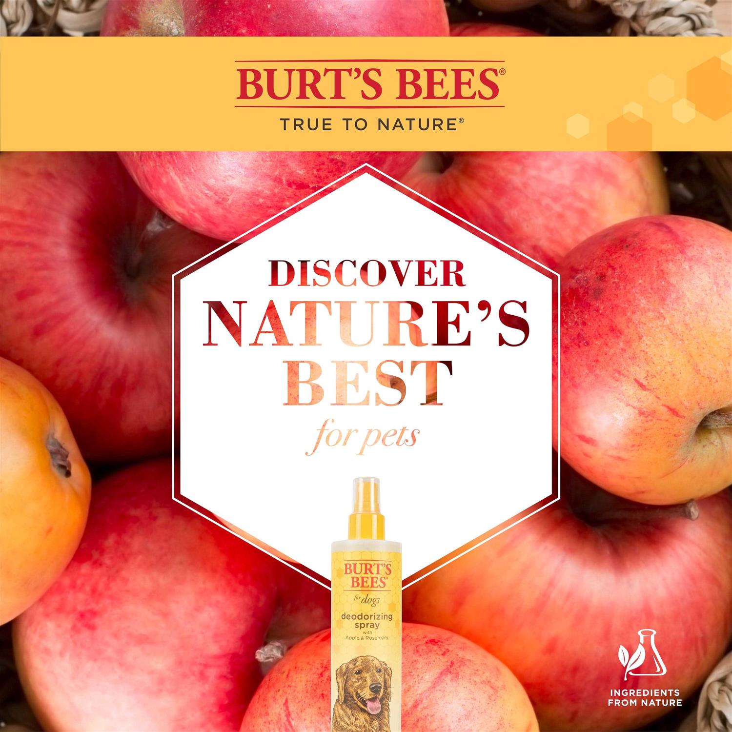 Burt’s Bees Deodorizing Spray