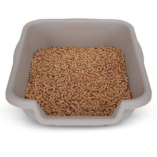 Bunny Go Here (20x15x5, Lavender)