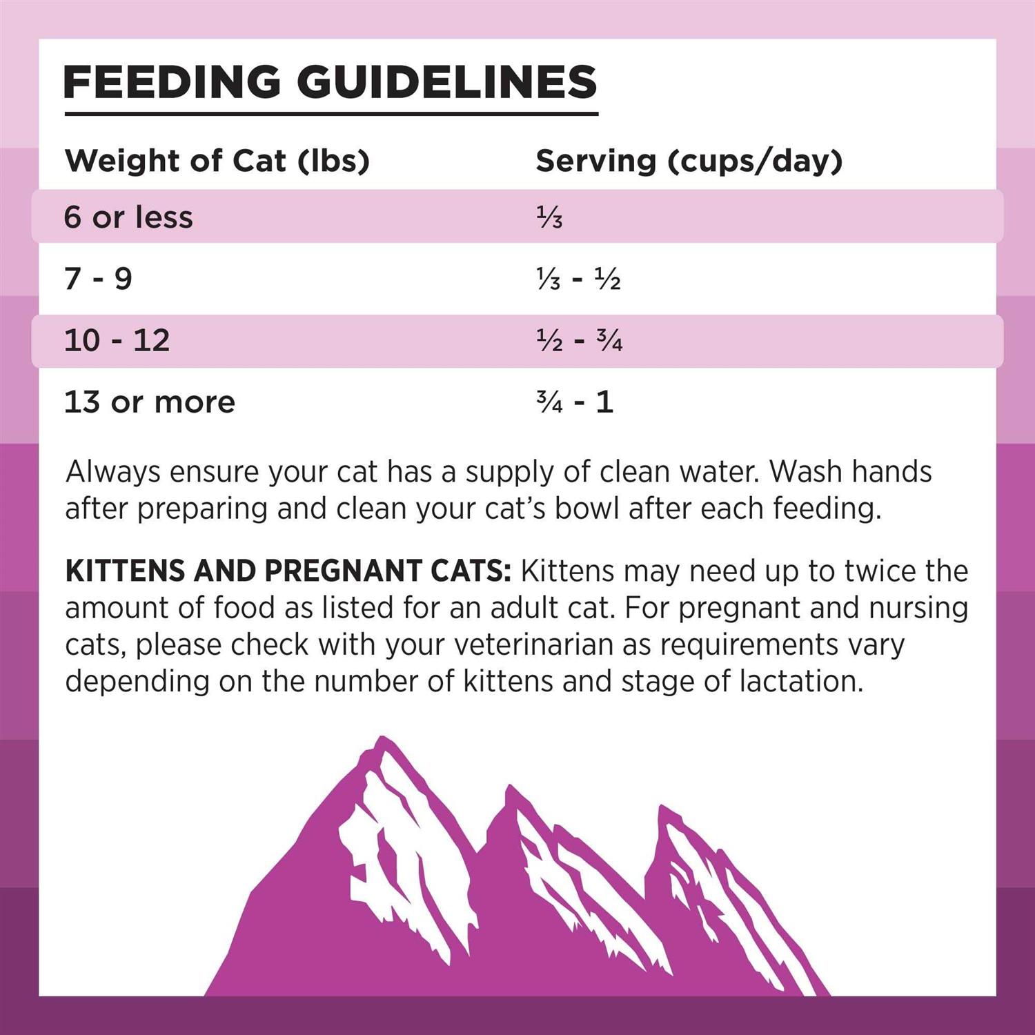 Bixbi Rawbble Chicken Recipe Dry Cat Food