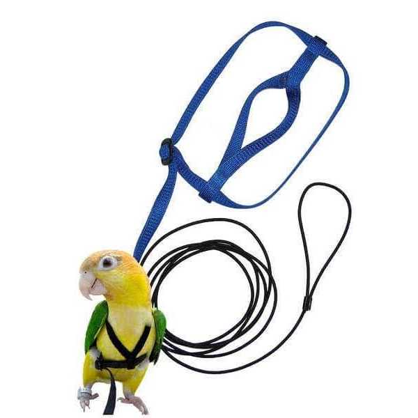 The Aviator Bird Harness and Leash