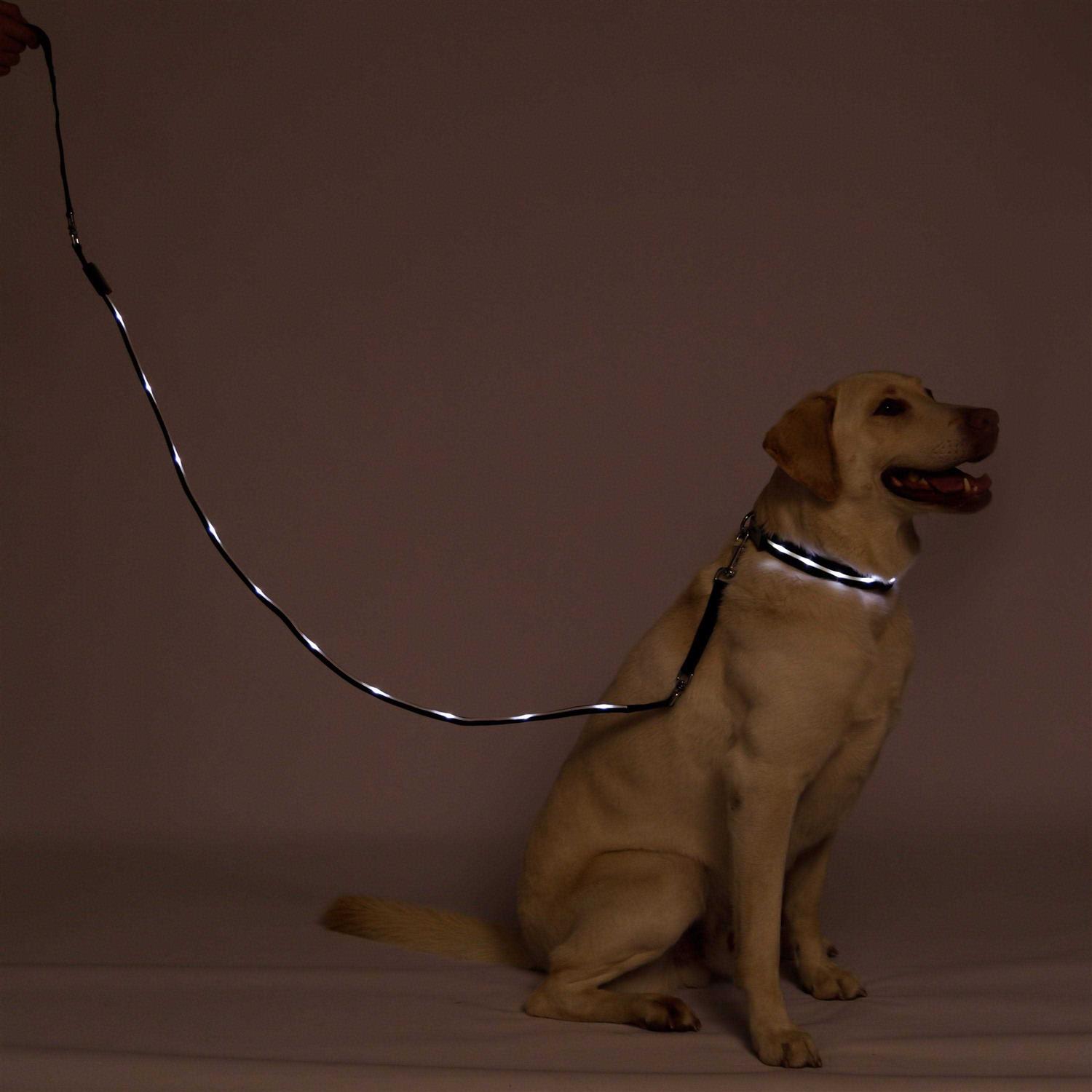 Blazin Safety LED Dog Leash USB Rechargeable Flashing Light