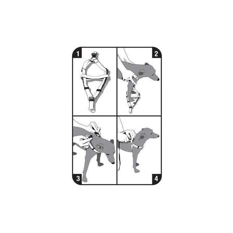 Vibrant Life Step-In Dog Harness