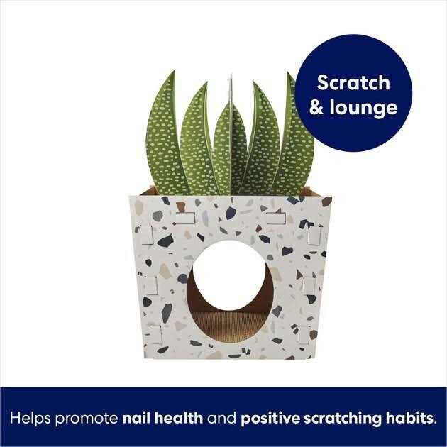 Frisco Potted Succulent Cardboard Cat House